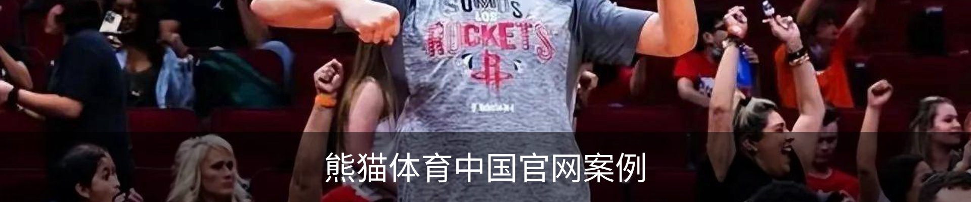 熊猫体育中国官网案例
